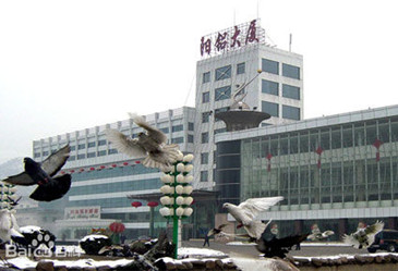 山西陽泉鋁業(yè)股份有限公司